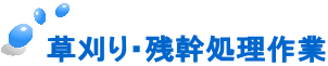 草刈り・残幹処理作業